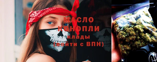 mdpv Бородино