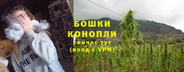 гашик Богородицк