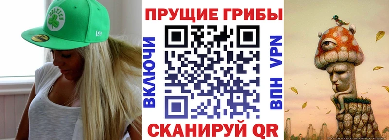 даркнет сайт  Новохопёрск  Псилоцибиновые грибы прущие грибы 